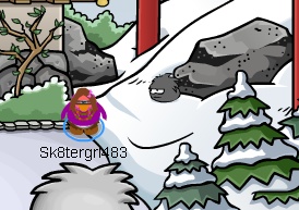 Black Puffle Cheat 3