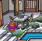 Black Puffle Cheat 7