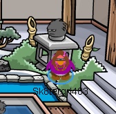 Black Puffle Cheat 5