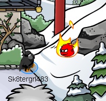 Black Puffle Cheat 4