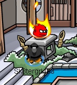 Black Puffle Cheat 8