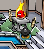 Black Puffle Cheat 6