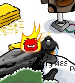 Black Puffle Cheat 9