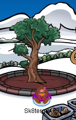 community-tree-growing