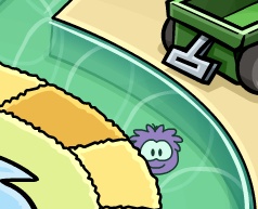 1-puffles-running-in-tubes-5-31-11