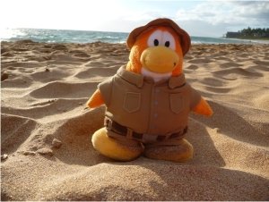Club Penguins Around the World