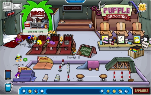 puffle11-party5